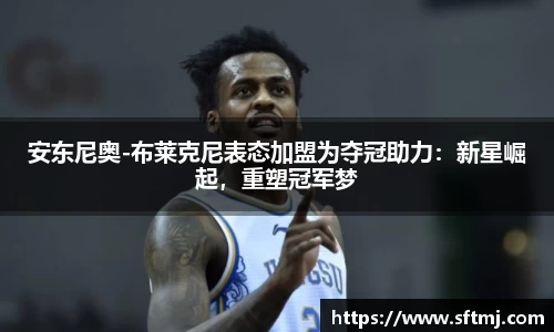 NG体育官网