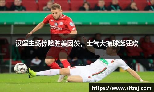 汉堡主场惊险胜美因茨，士气大振球迷狂欢