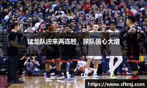 NG体育下载