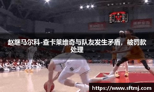 NG体育下载