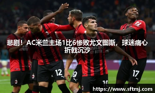 NG体育下载