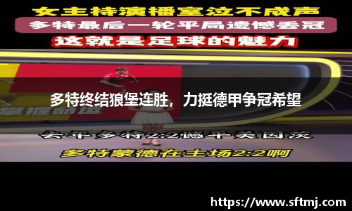 NG体育网址