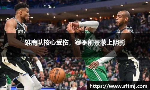 NG体育官网