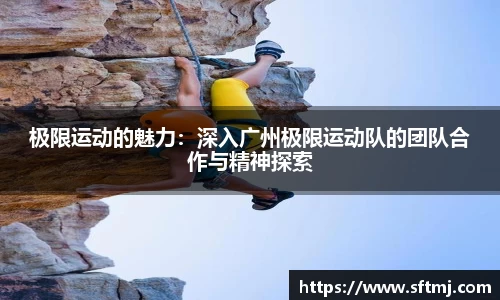 NG体育网址