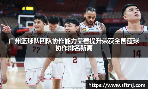 NG体育下载