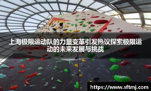 NG体育网址