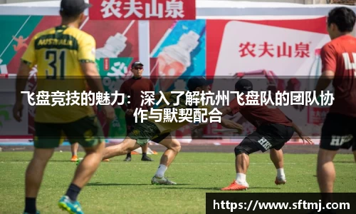 NG体育网址