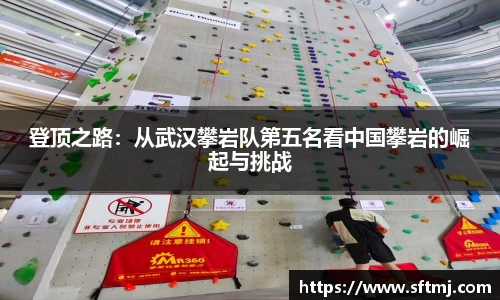 登顶之路：从武汉攀岩队第五名看中国攀岩的崛起与挑战