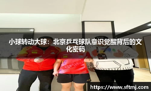 NG体育网址