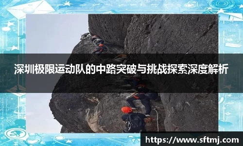 NG体育官网