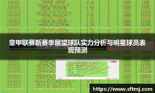 NG体育官网