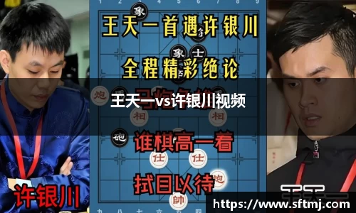 王天一vs许银川视频