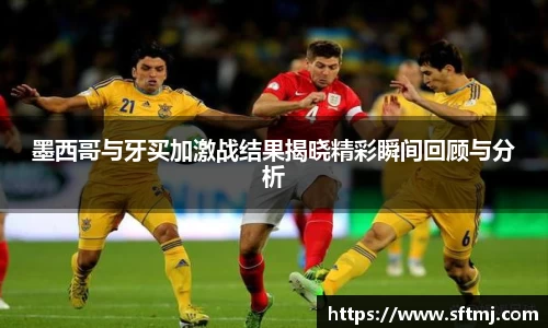 NG体育网址