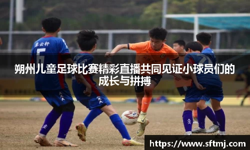 NG体育网址