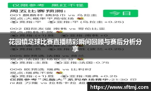 花园镇足球比赛直播精彩瞬间回顾与赛后分析分享