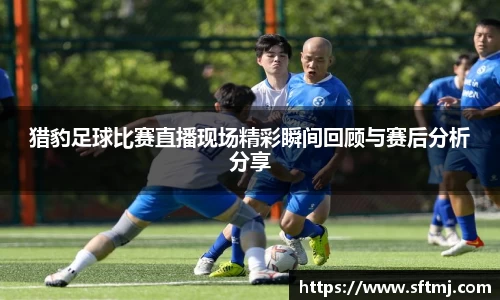 猎豹足球比赛直播现场精彩瞬间回顾与赛后分析分享