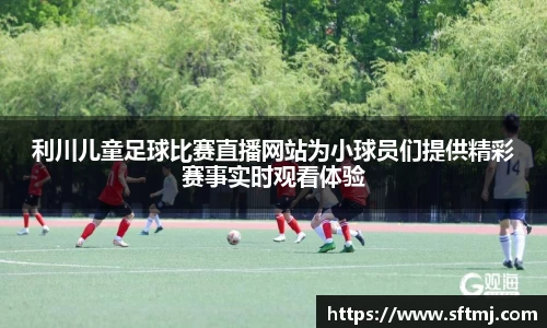 NG体育下载