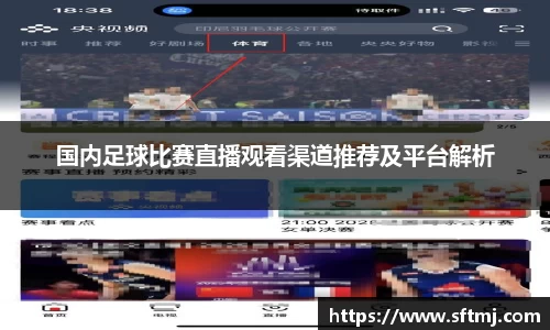 国内足球比赛直播观看渠道推荐及平台解析