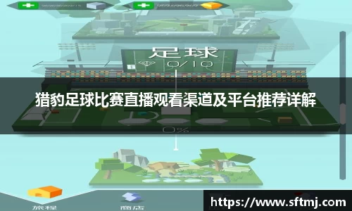 猎豹足球比赛直播观看渠道及平台推荐详解