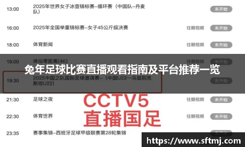 兔年足球比赛直播观看指南及平台推荐一览