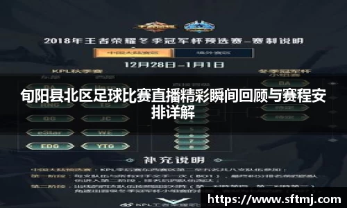 NG体育网址