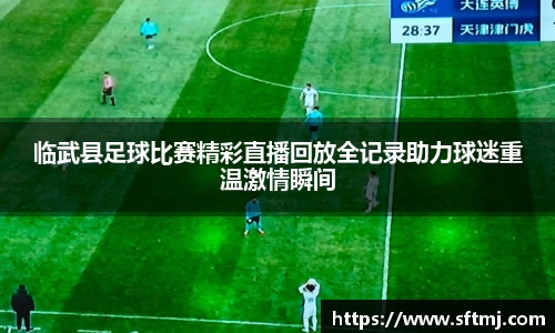 临武县足球比赛精彩直播回放全记录助力球迷重温激情瞬间