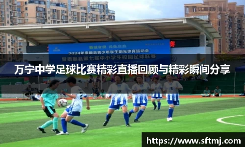NG体育网址