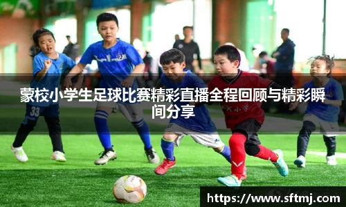 NG体育下载