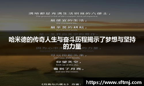 NG体育网址