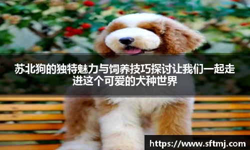 苏北狗的独特魅力与饲养技巧探讨让我们一起走进这个可爱的犬种世界